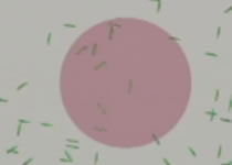 �o�[�`�����]�E�����V(�W�ύs��)