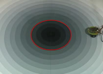 �ړ����{�b�g�̃o�C�I�~���e�B�b�N����